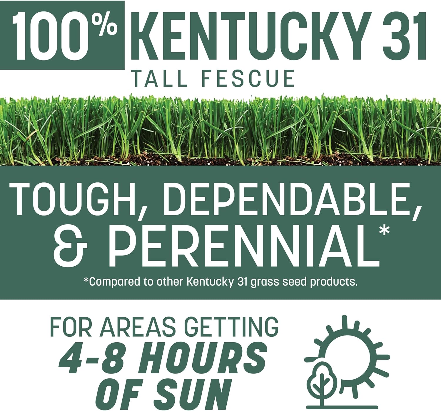 Pennington Kentucky 31 Fescue 40 LB Tall Fescue Grass Seed, Grass Seeds for Lawn