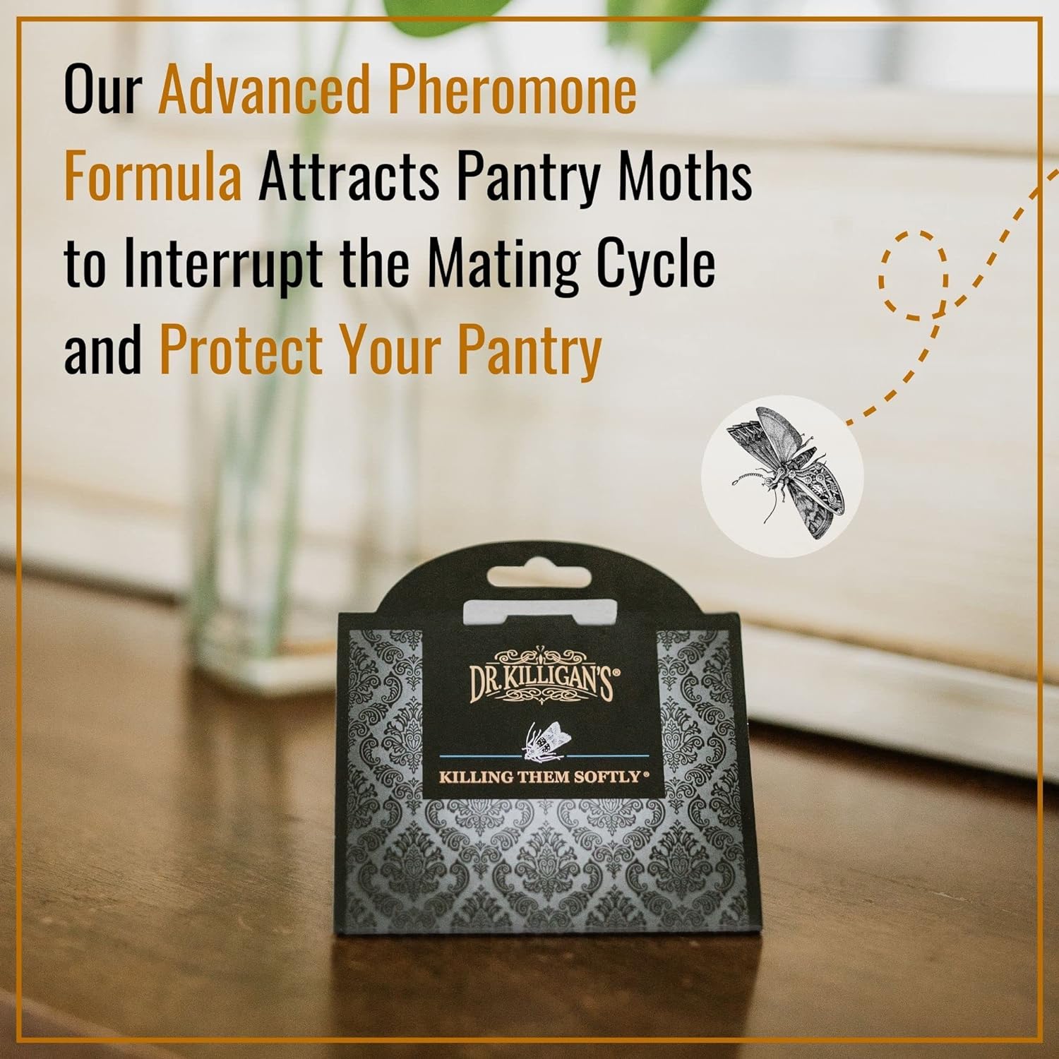 Dr. Killigan's Pantry Moth Traps with Pheromones Prime, 6 Pack, Black