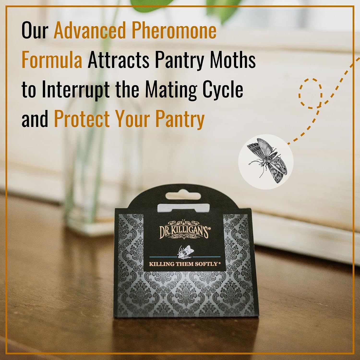 Dr. Killigan's Pantry Moth Traps with Pheromones Prime, 20 Pack, Black