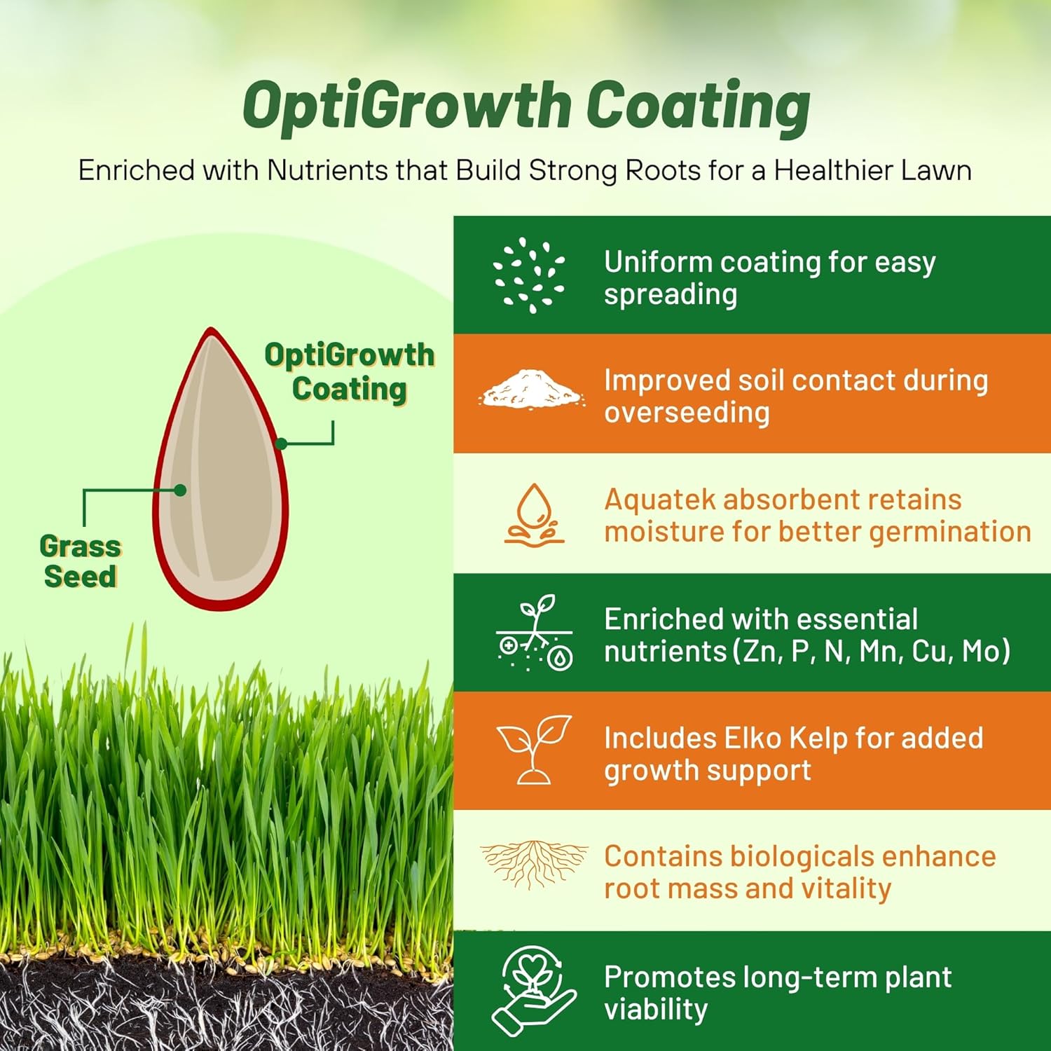 Outsidepride Midnight Kentucky Bluegrass Seed - 25 Lbs. Cold & Drought Tolerant, Sun-Loving Lawn Grass Seed, w/High Traffic Tolerance & Deep Root System, OptiGrowth Coated for Better Establishment