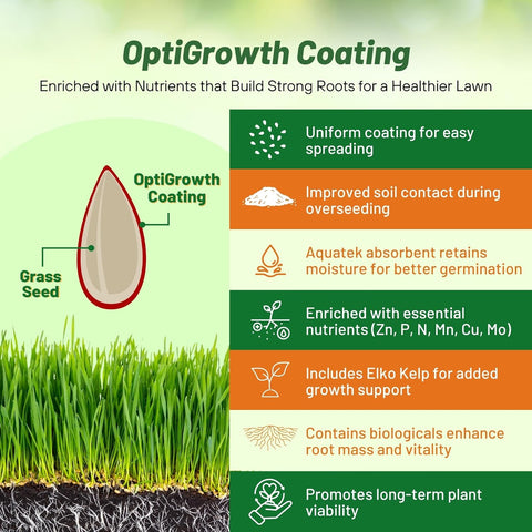 Outsidepride Midnight Kentucky Bluegrass Seed - 25 Lbs. Cold & Drought Tolerant, Sun-Loving Lawn Grass Seed, w/High Traffic Tolerance & Deep Root System, OptiGrowth Coated for Better Establishment