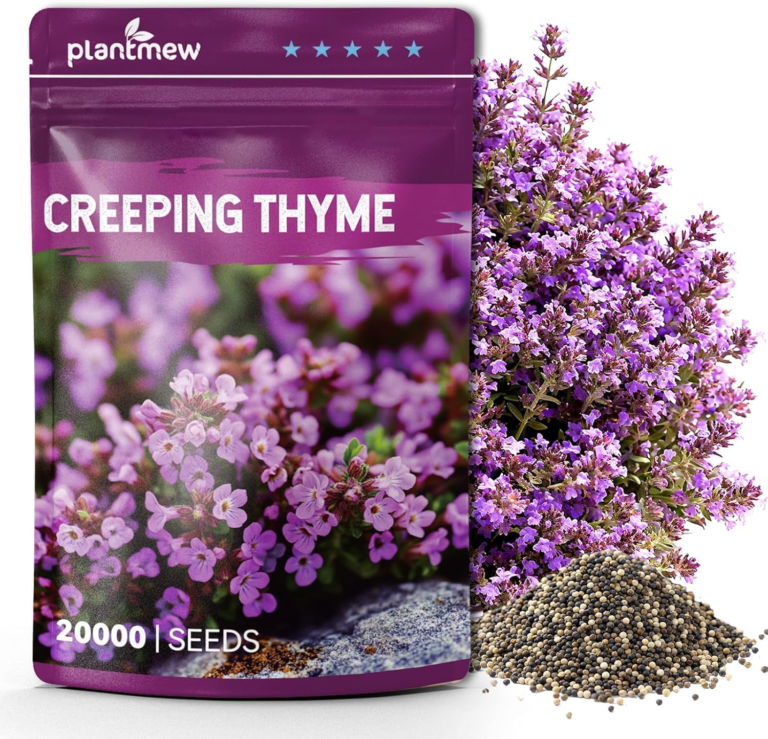 20000+ Creeping Thyme Seeds (Thymus Serpyllum), Ground Cover Seeds, Fragrant Lawn Alternative for Garden, Paths & Landscaping (10g / 0.35 oz)