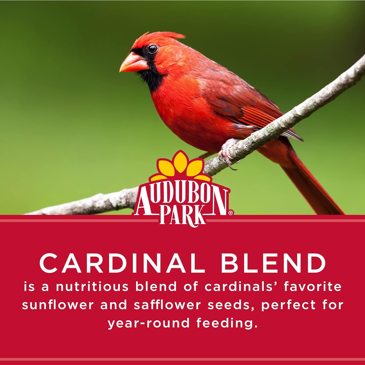 Audubon Park Cardinal Blend Wild Bird Food, Cardinal Bird Seed for Outside Feeders, 4-Pound Bag (Pack of 4)