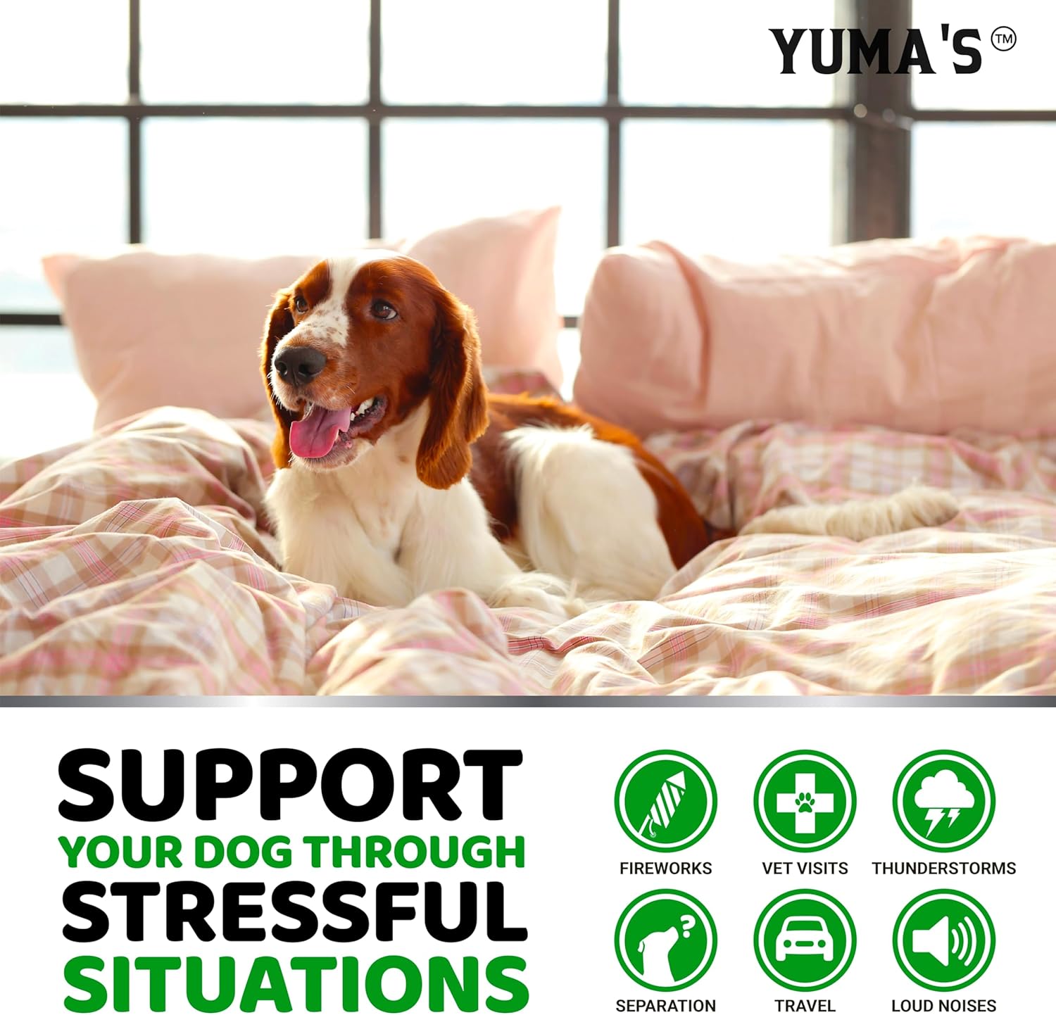 Hemp Calming Chews for Dogs - 240 Treats - Advanced Dog Calming Chews