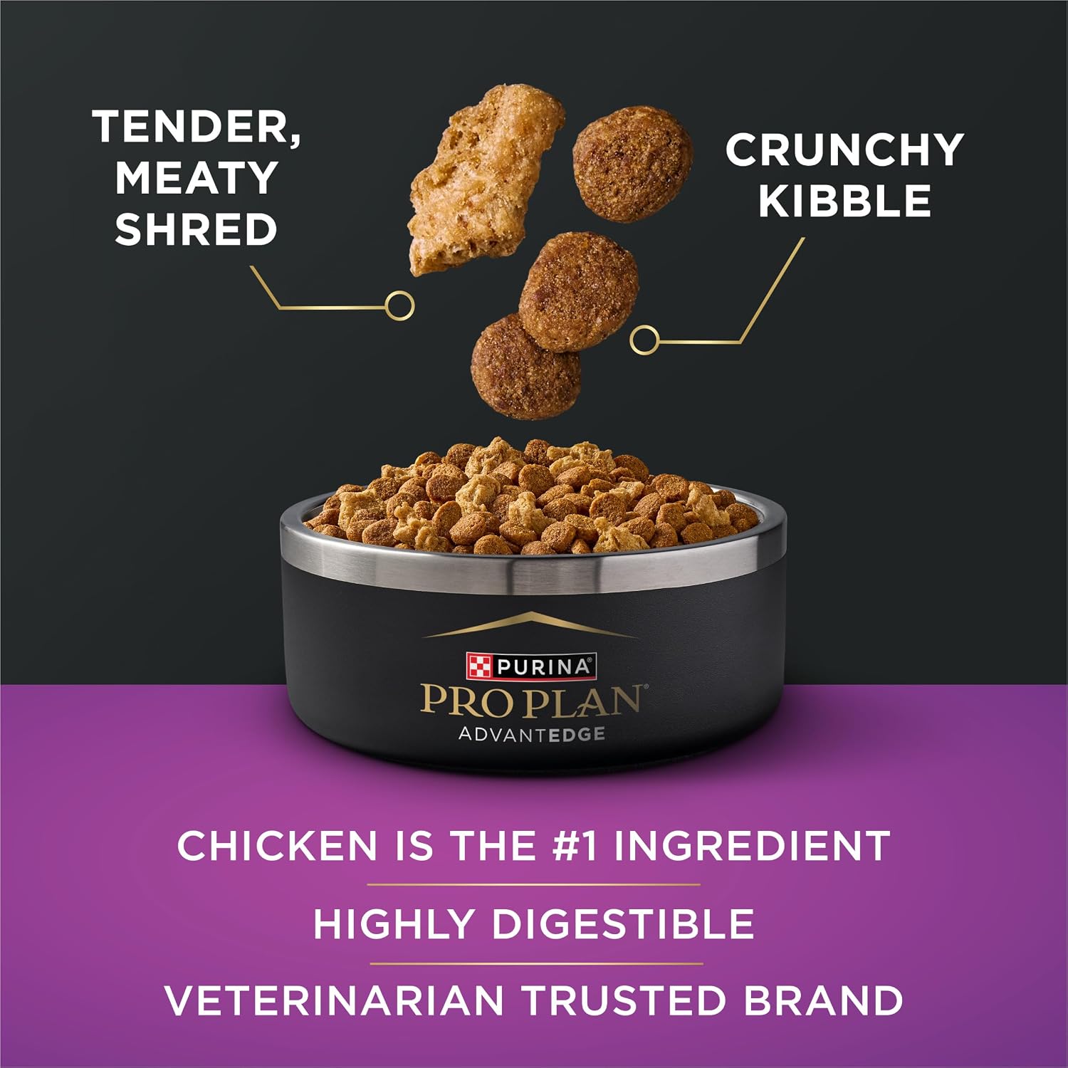 Purina Pro Plan AdvantEDGE Senior Support 7+ Dry Dog Food, 22 lb Bag