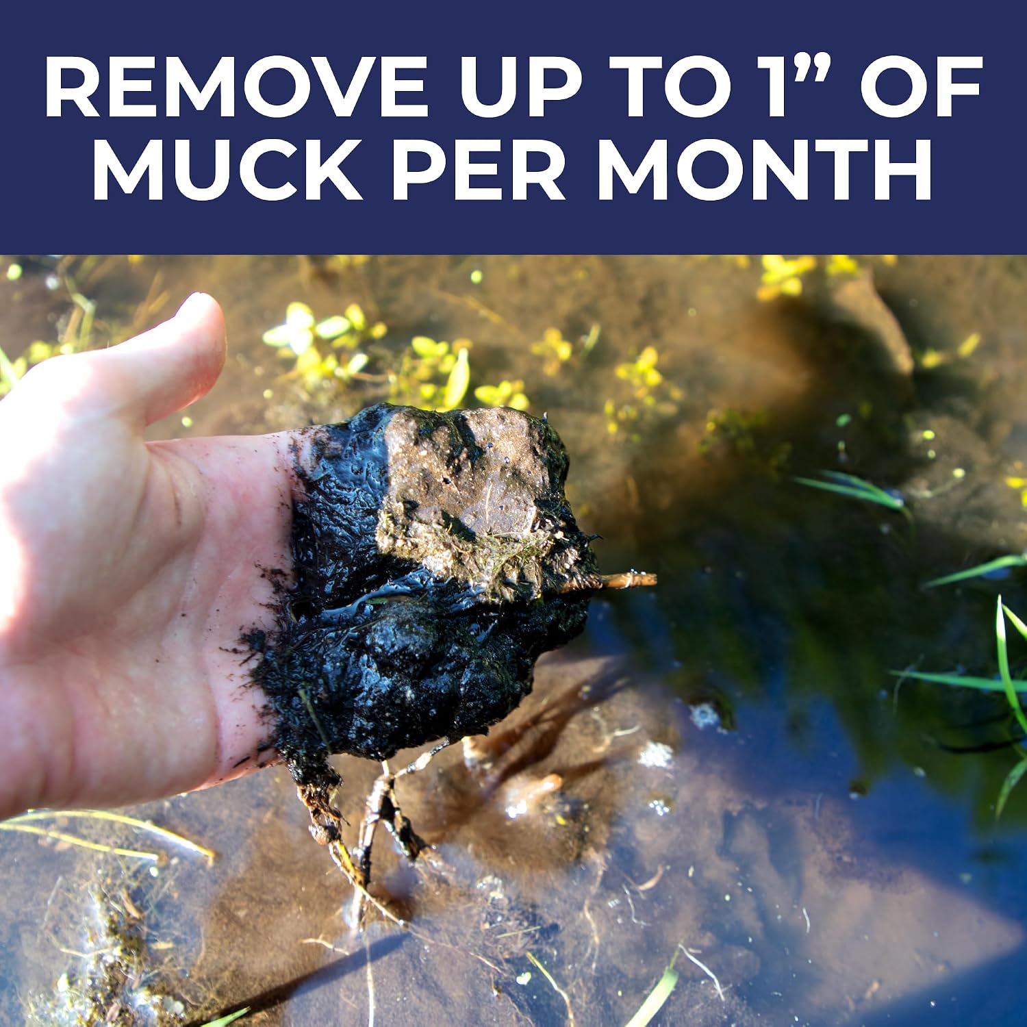 PondValue Ultimate Muck Reducer, Natural Pond & Lake Treatment, 48 Tablets