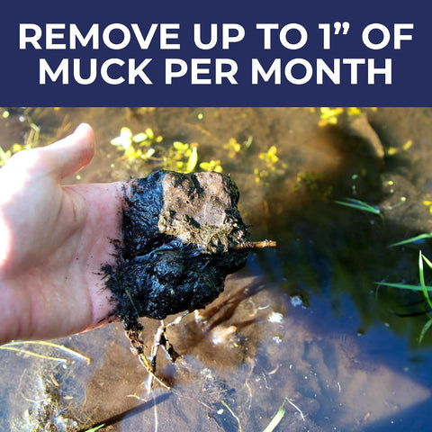 PondValue Ultimate Muck Reducer, Natural Pond & Lake Treatment, 48 Tablets