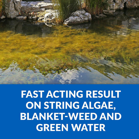 CrystalClear Algae D-Solv EPA Registered Pond Algaecide, 16 oz