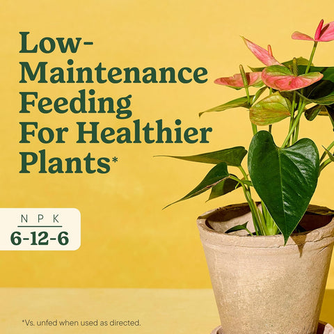 Miracle-Gro Indoor Plant Food Spikes for All Plants, 48 Spikes
