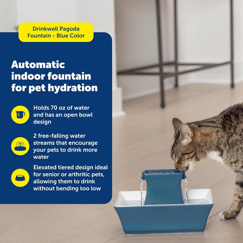 PetSafe Cat and Dog Water Fountain - Automatic Water Dispenser - Drinkwell Pagoda Ceramic Fountain for Pets - Filter Included - Blue - 70 oz, Model:PWW00-14898