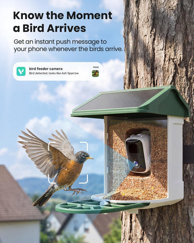 HARYMOR Bird Feeder with Camera, 2K Live Video, AI Identify Bird Species