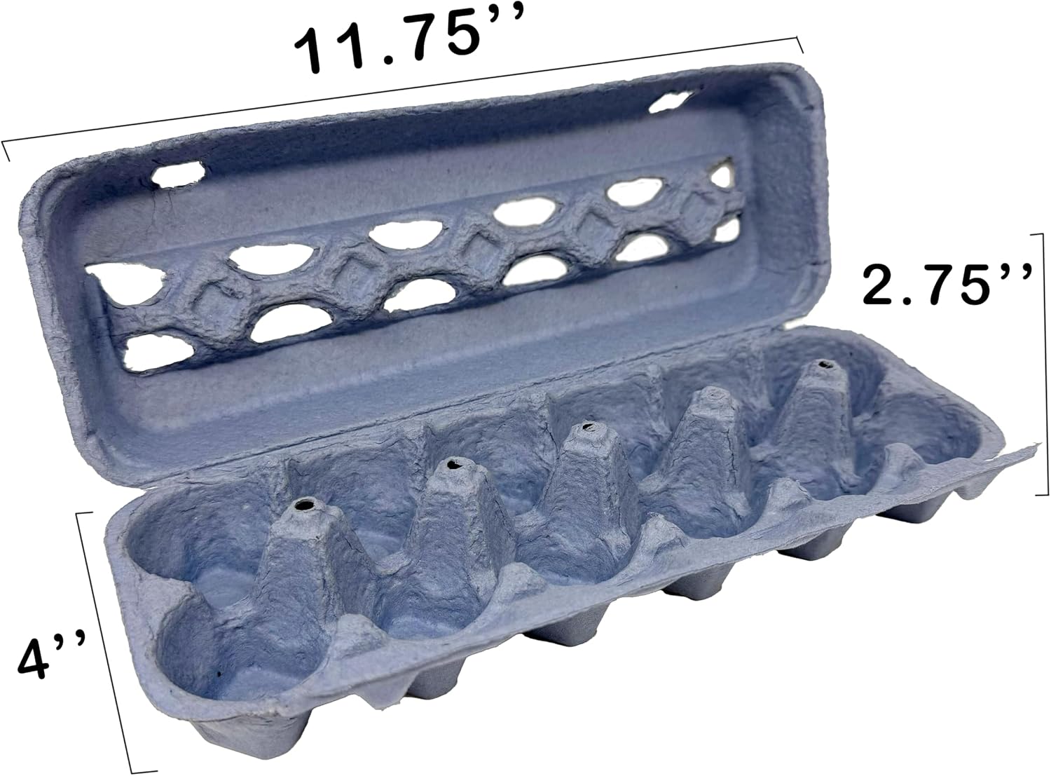 Blue Paper Pulp Egg Cartons - 50 Pack