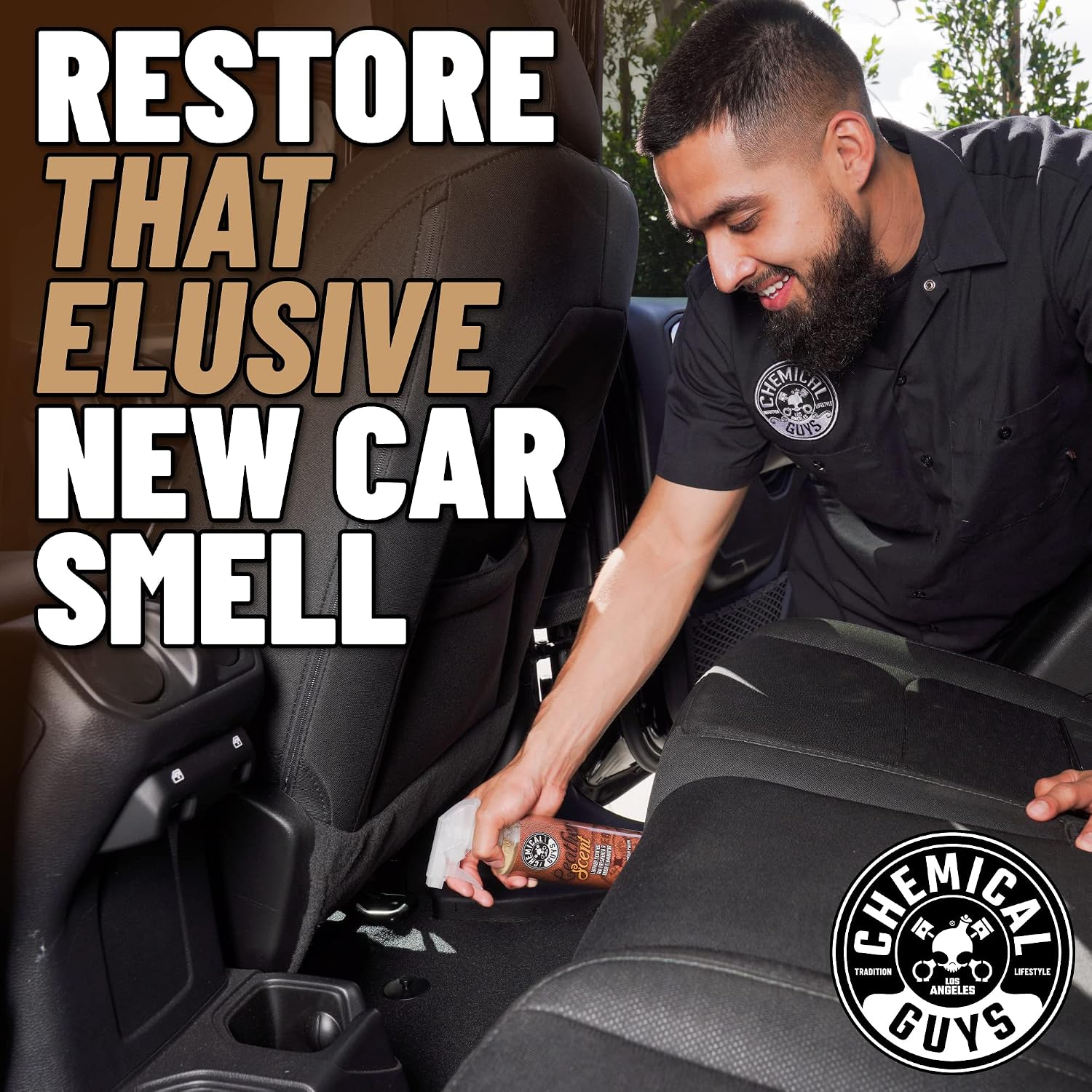 Chemical Guys, Leather Scent Air Freshener & Odor Neutralizer, 16 oz, 2 Pk