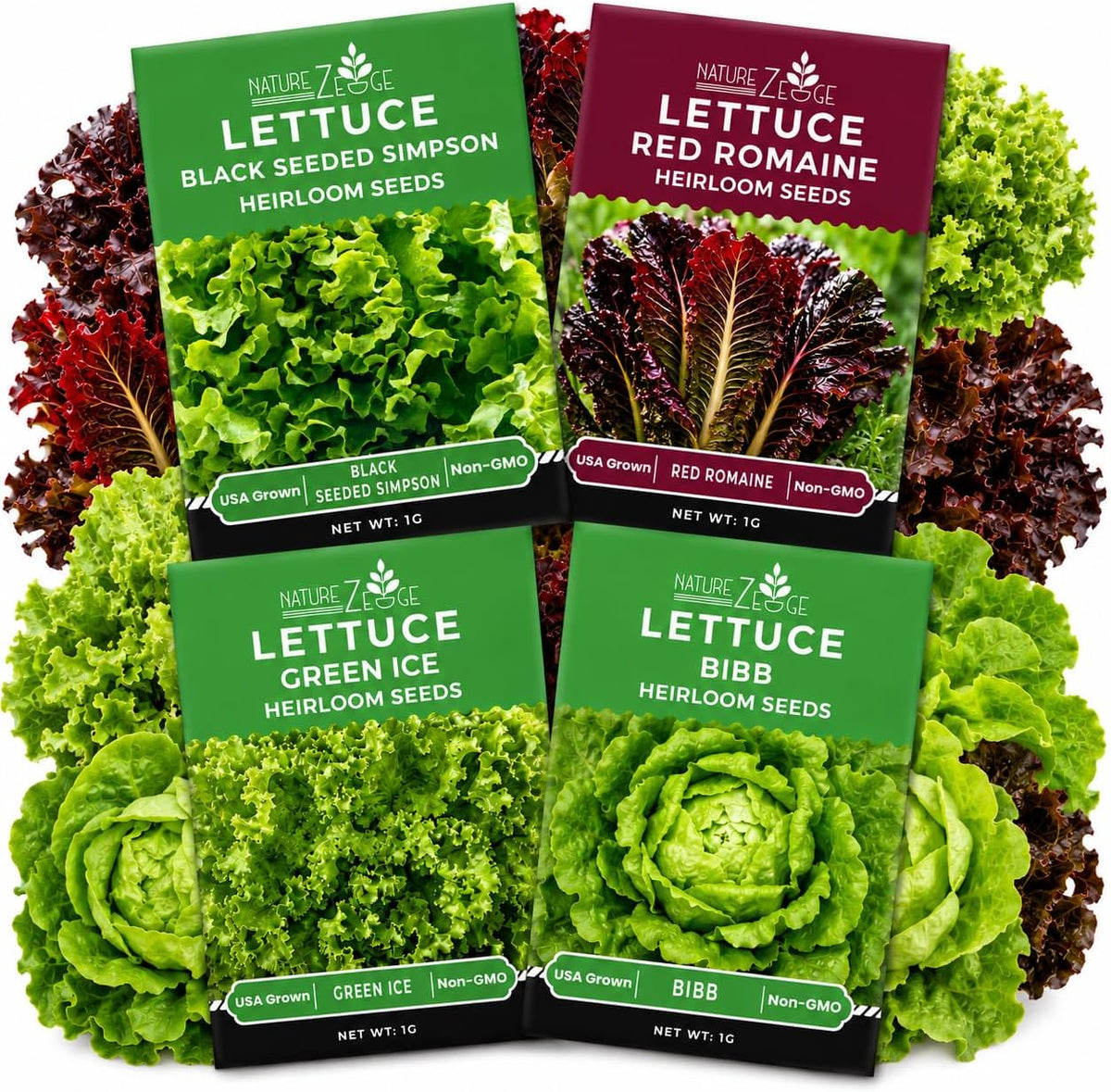 NatureZ Edge Lettuce Seeds for Planting, 4 Popular Varieties Non-GMO Heirloom Seeds, Red Romaine, Bibb Butter, Black Seeded Simpson, Green Ice Lettuce, Romaine, Salad Lettuce, Hydroponic Garden, USA