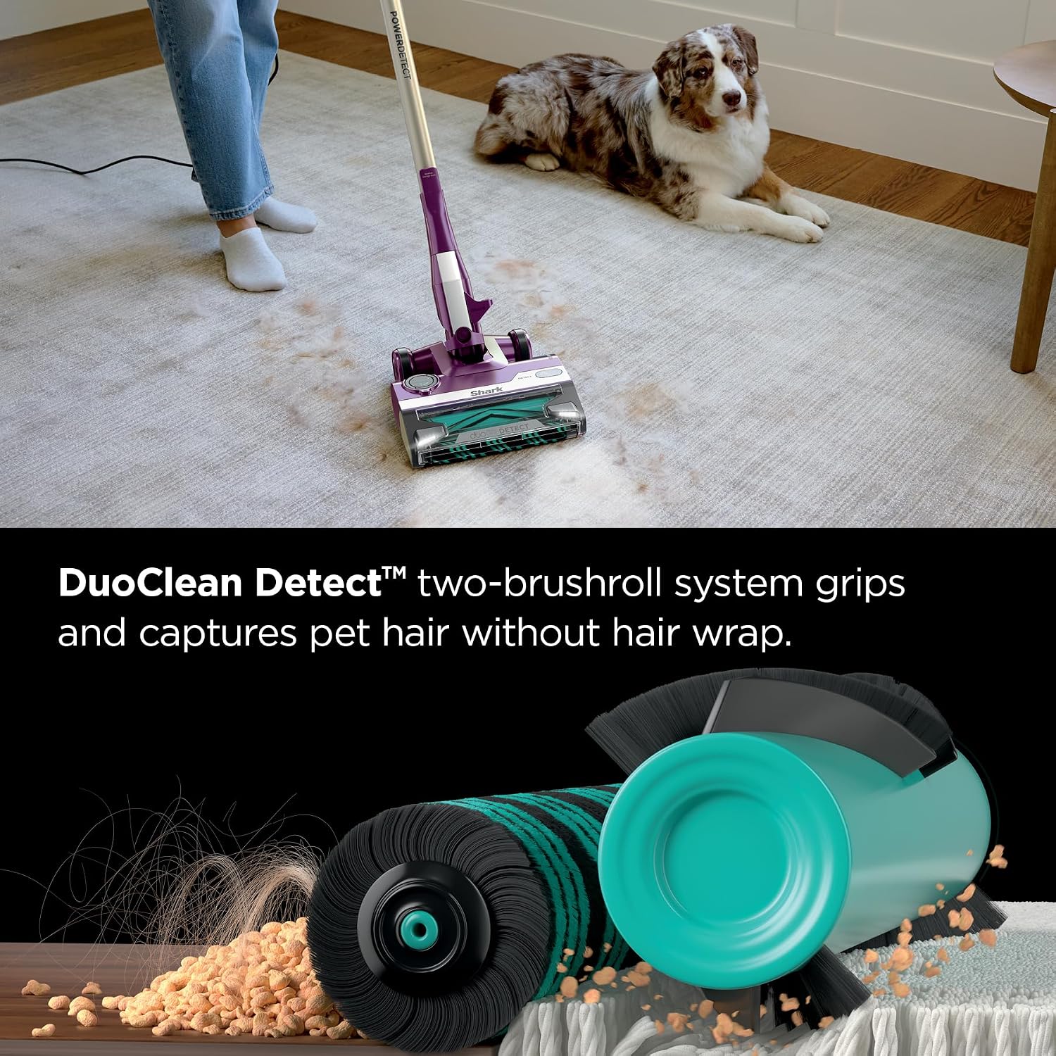 Shark PowerDetect Corded Stick Vacuum, HEPA, Pet Hair, Purple, HZ4001AMZ