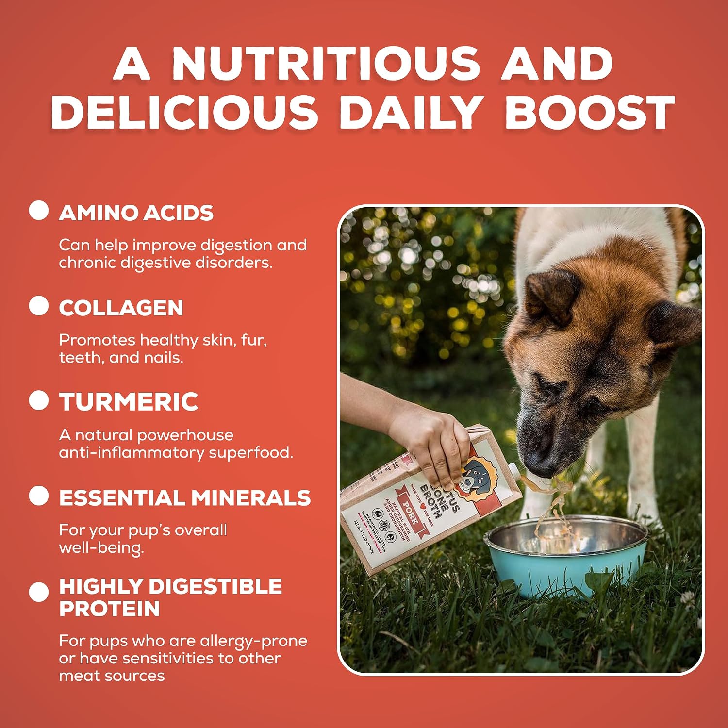 Brutus Bone Broth Liquid for Dogs | All Natural | Made in USA | Glucosamine & Chondroitin for Healthy Joints | Human Grade Ingredients | Hydrating Food Topper, Gravy & Treat (Pork, 2-Pack)