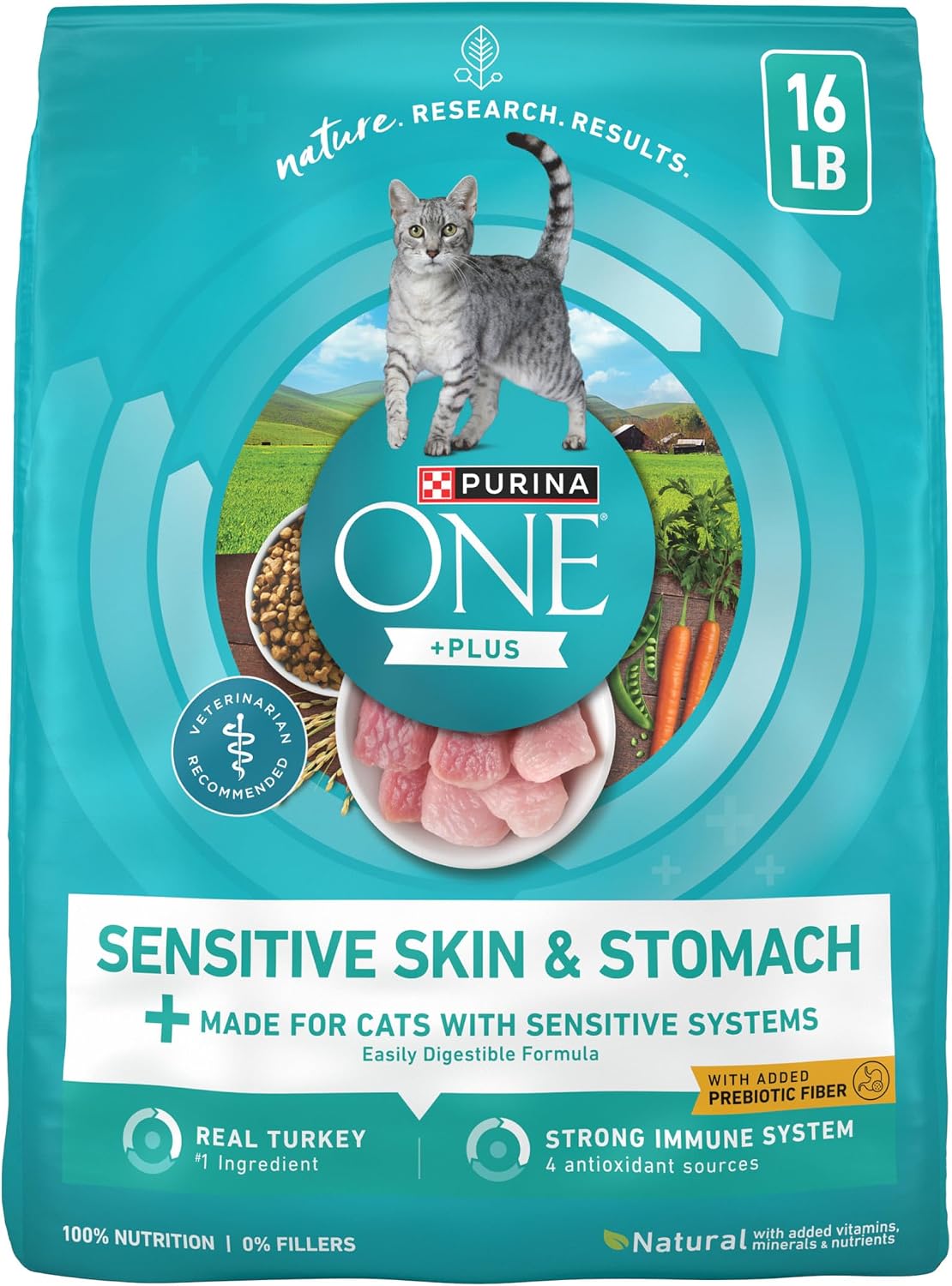 Purina ONE Sensitive Skin and Stomach Dry Cat Food 16 lb Bag