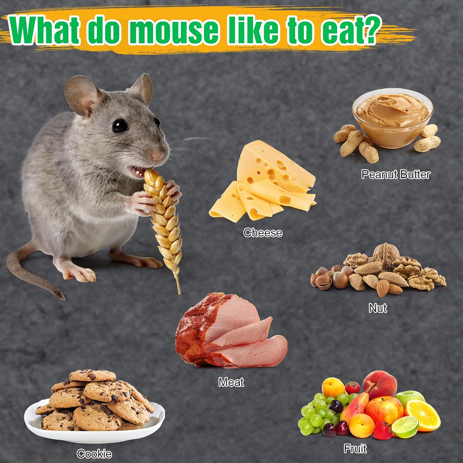4 Pcs Humane Mouse Traps Indoor for Home, Live Trap No Kill Catch & Release