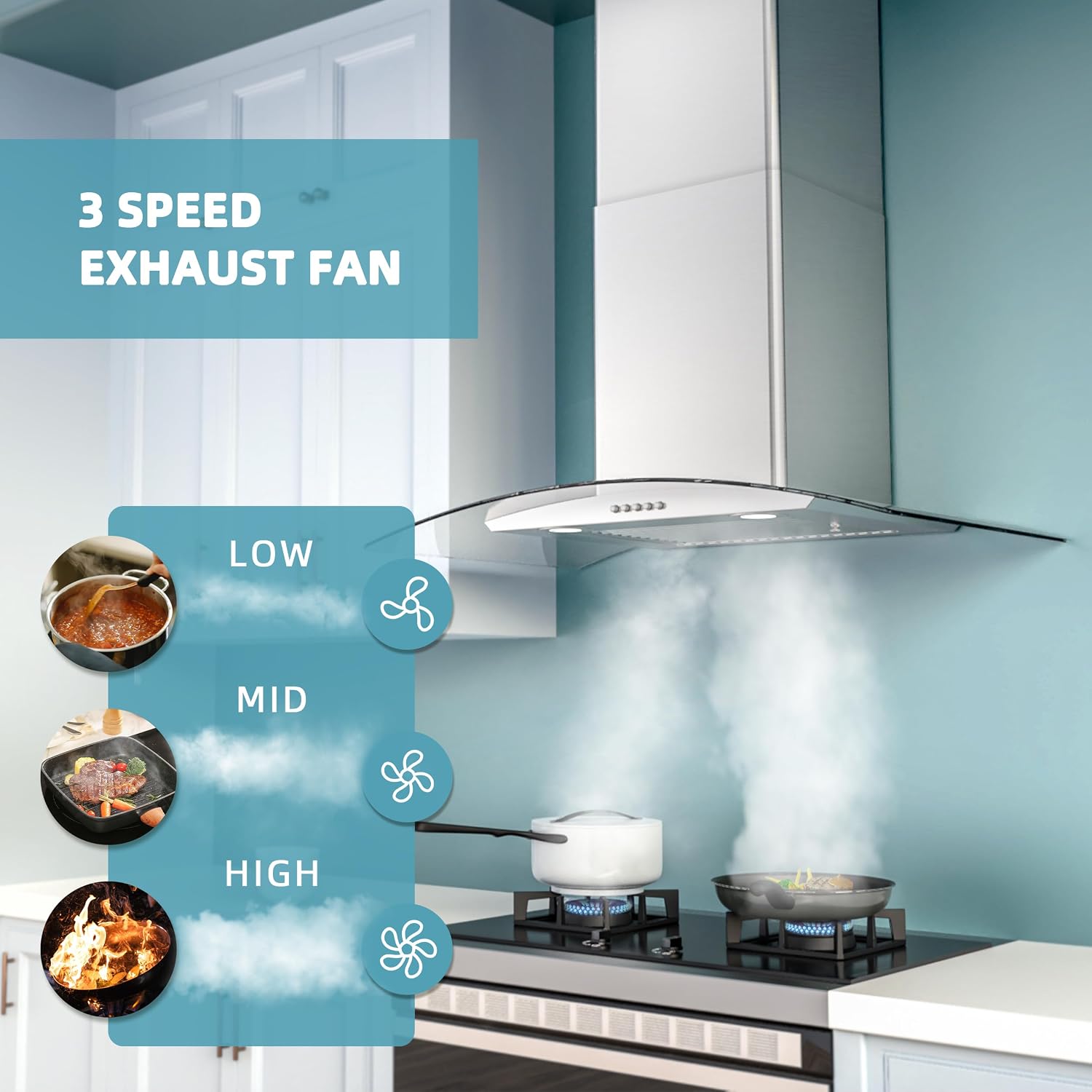 Range Hood 30 Inch, Ducted/Ductless Convertible Wall Mount Range Hood