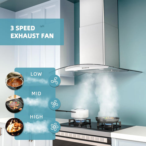 Range Hood 30 Inch, Ducted/Ductless Convertible Wall Mount Range Hood