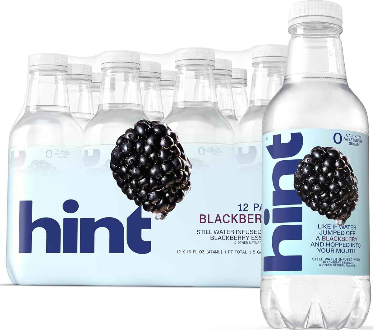 Hint Fruit-Infused Bottled Water, Blackberry - Sugar Free Flavored Water with Zero Calories, Natural Fruit Essences, and No Artificial Sweeteners - 16 Fl Oz (Pack of 12)