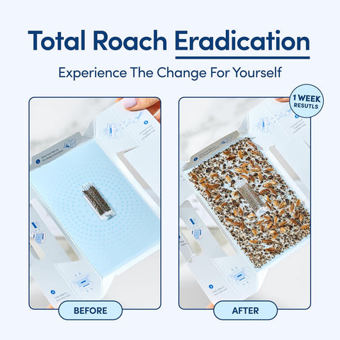 Shieldeck Roach Traps Indoor (12 Pack) – Non-Toxic Sticky Glue Traps for Roaches, Spiders & Crickets – Safe Roach Catcher for Home, Car, Apartment & Motel Pest Control