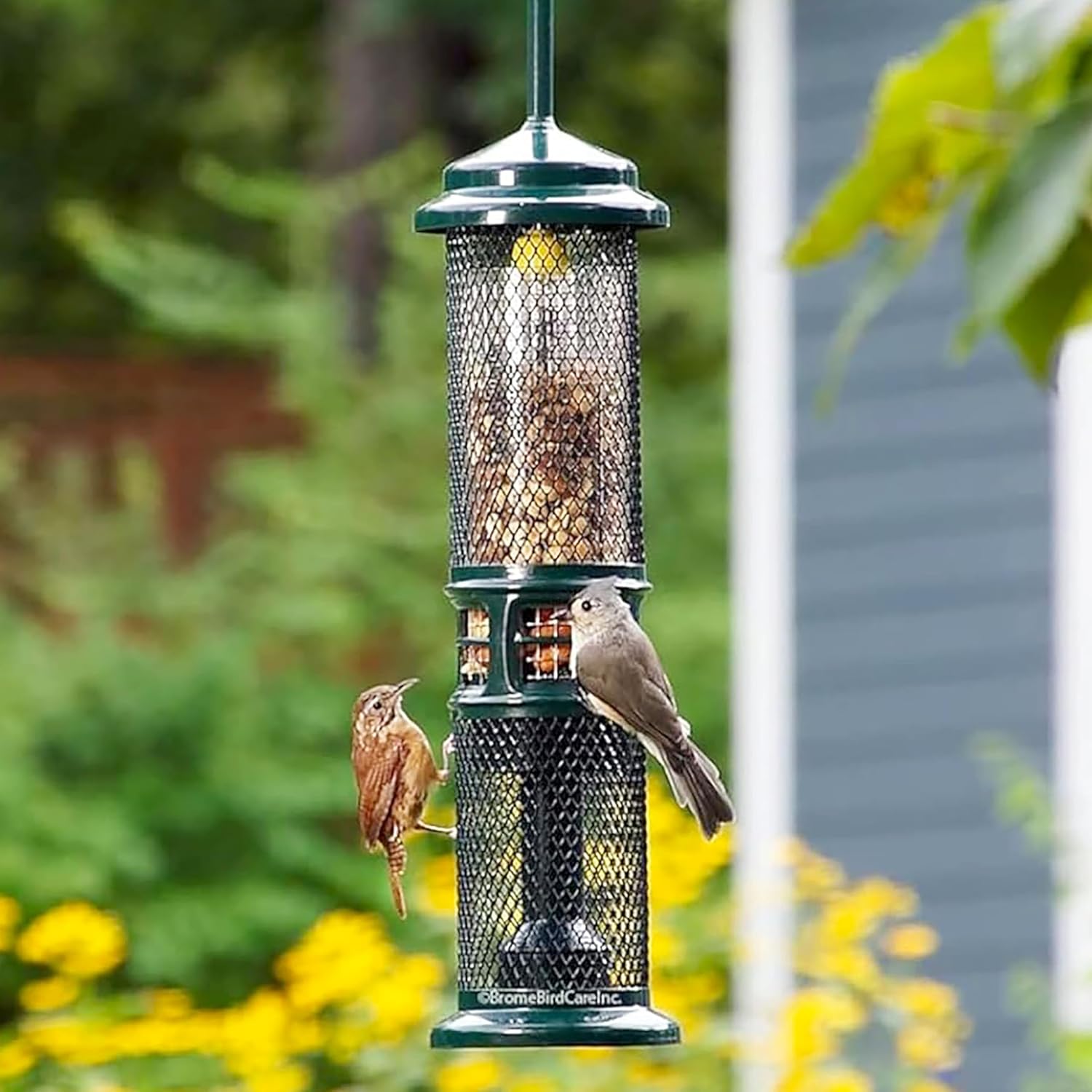 Squirrel Buster Nut Feeder Squirrel-Proof Bird Feeder for Shelled Peanuts & Dried Fruit, Weight-Adjustable, Woodpecker Friendly, 1.3lb Capacity with 2 Interchangeable Meshes