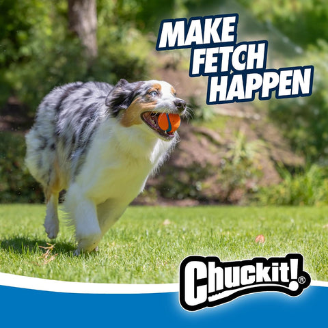Chuckit! Ultra Ball Dog Toy, Durable Rubber, Medium 2.5-in, 2 Pack