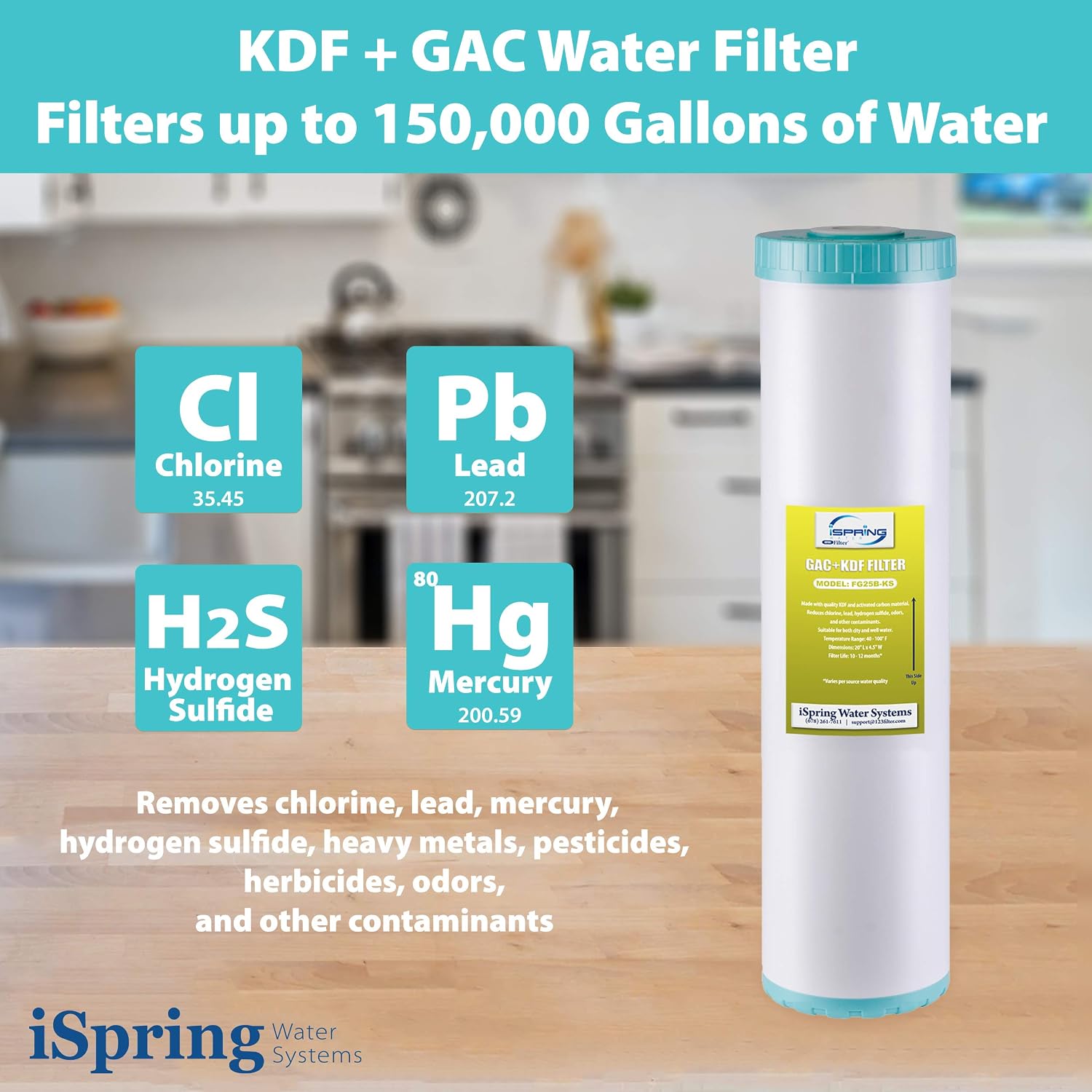iSpring FG25B-KS Heavy Metals Reduction Whole House Water Filter