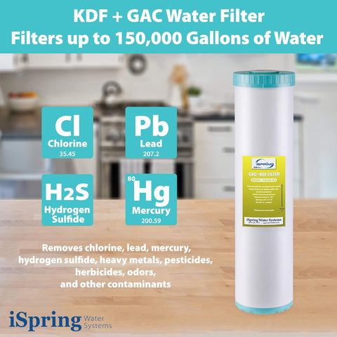iSpring FG25B-KS Heavy Metals Reduction Whole House Water Filter