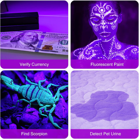 COSOOS 4 Pack Blacklight Flashlights, 395nm UV Handheld Black Light Flashlight, 12LED Mini Portable Pet Urine Detector for Dog Cat Urine, Scorpions, Dry Stains, Bed Bugs(Silver)