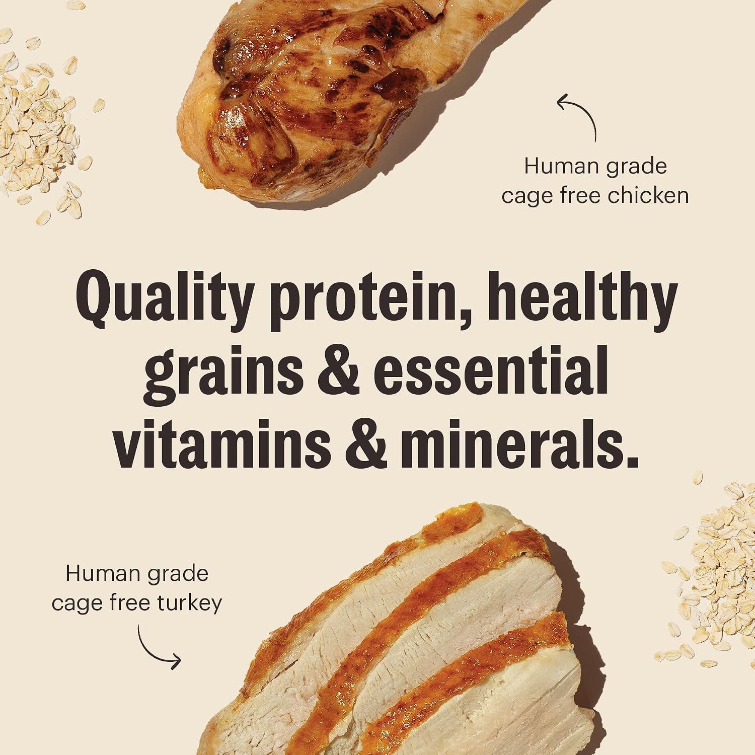 The Honest Kitchen Essential Clusters Whole Grain Turkey & Chicken Recipe, Vet-Recommended Human Grade Dry Dog Food for Adult Dogs, Nutritional Support for Skin, Coat & Overall Wellness, 20 lb Bag