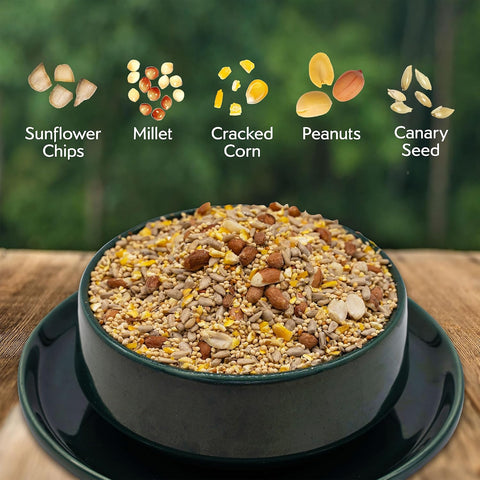 Morning Song Clean & Free No Mess Wild Bird Seed – 12 lb.