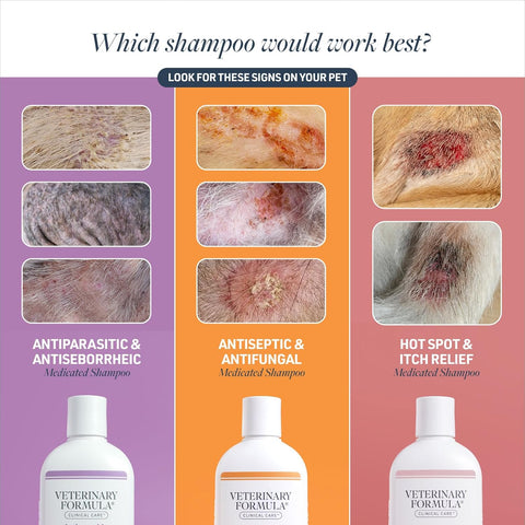 Veterinary Formula Clinical Care Antiseptic & Antifungal Shampoo, 16 oz