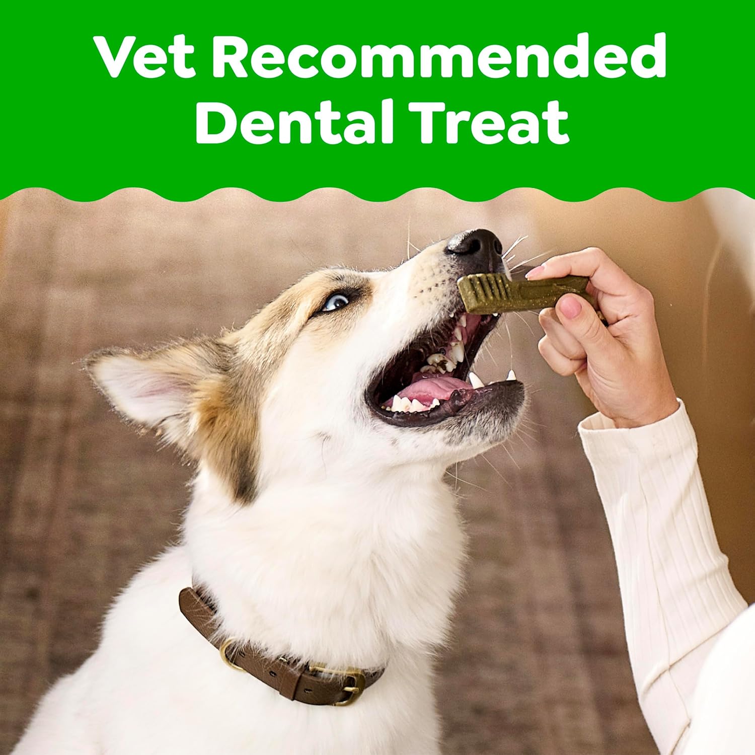 Greenies Regular Dental Dog Treats, Original Chicken Flavor, 36 Count