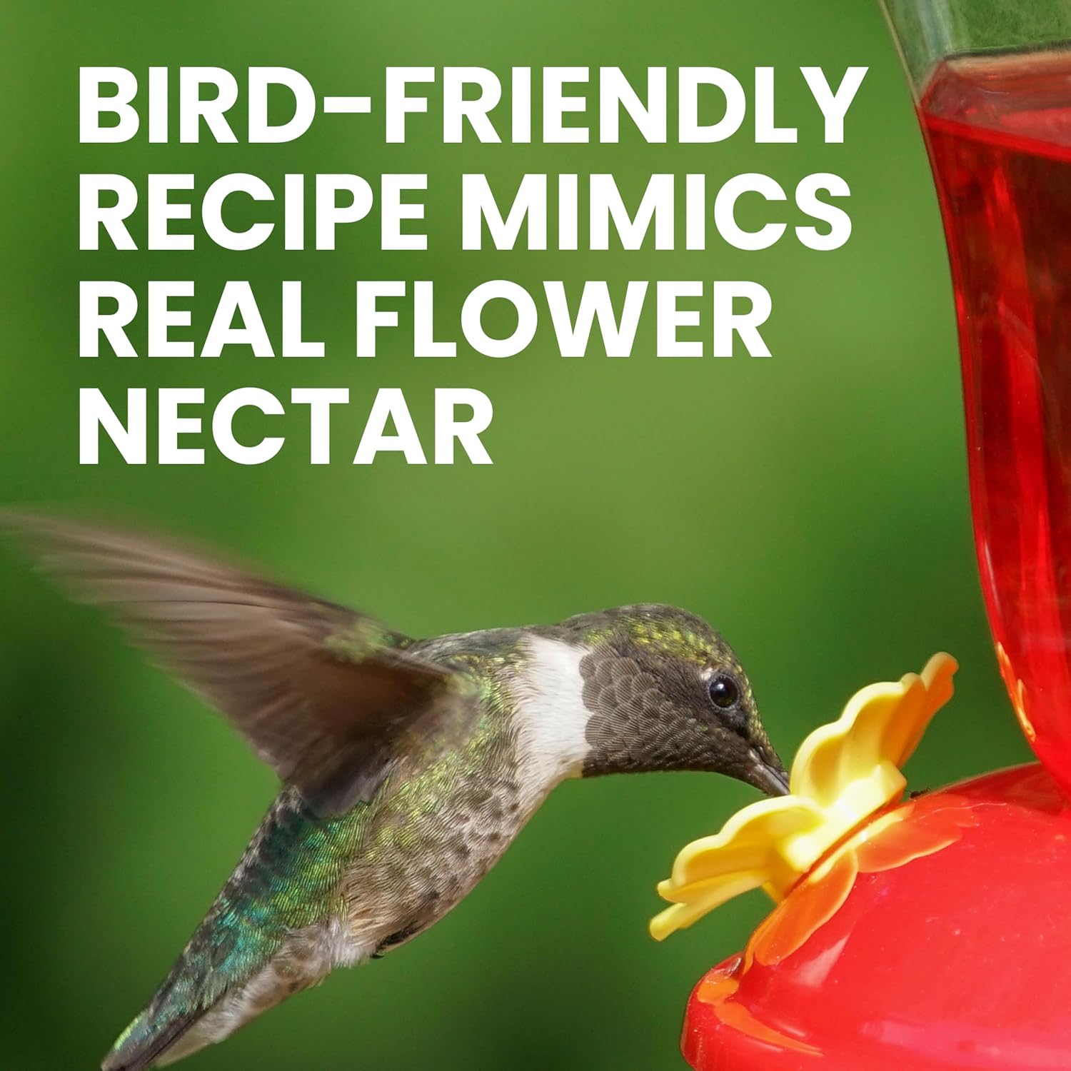 Perky-Pet Hummingbird Nectar Concentrate, 32 oz Red Liquid Bird Food