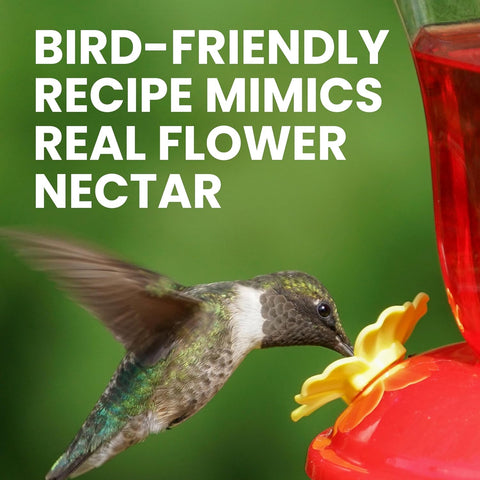 Perky-Pet Instant Hummingbird Nectar Concentrate, 2 lb Bag of Nectar Powder