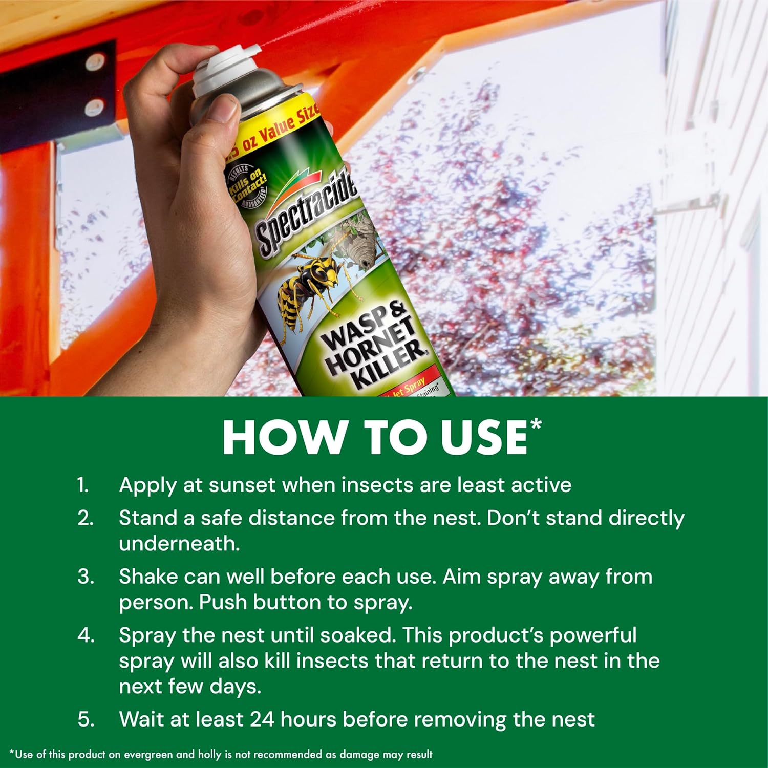 Spectracide Wasp & Hornet Killer Aerosol Spray 18.5 Oz, 12 Pack