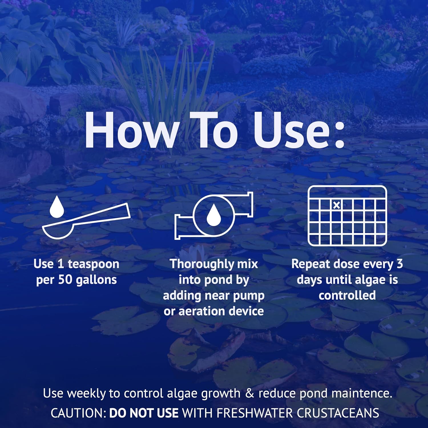 API POND ALGAEFIX (1 gallon) Pond Algae Control - Copper Free - Clean, Clear Water - Up to 38400 Gallons - Safe for Fish, Plants - Water Gardens, Fountains - Natural Active Ingredient - EPA-Registered