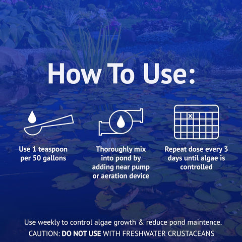 API POND ALGAEFIX (1 gallon) Pond Algae Control - Copper Free - Clean, Clear Water - Up to 38400 Gallons - Safe for Fish, Plants - Water Gardens, Fountains - Natural Active Ingredient - EPA-Registered