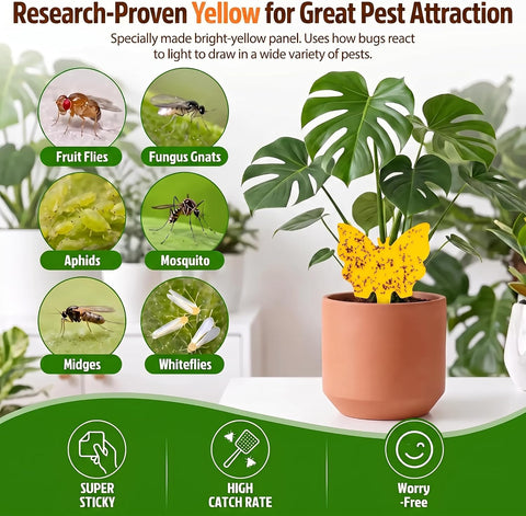 40 Pack Fungus Gnat Traps, Yellow Sticky Fruit Fly Traps for Indoor Plants