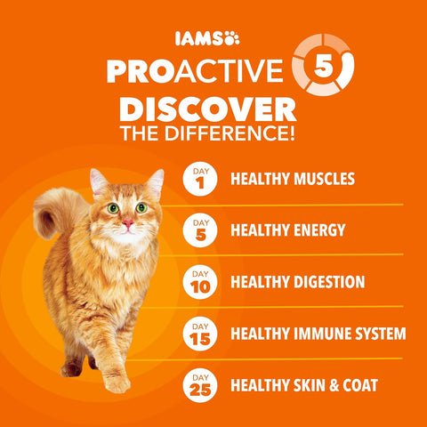 IAMS Proactive Health Healthy Adult Dry Cat Food, Chicken, 3.5 lb