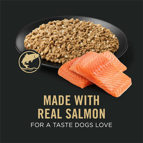 Purina Pro Plan Sensitive Skin & Stomach Wet Dog Food, Salmon, (12) 13 oz