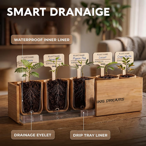 Bonsai Tree Kit Deluxe - Growing 5 Unique Japanese Bonzai Trees