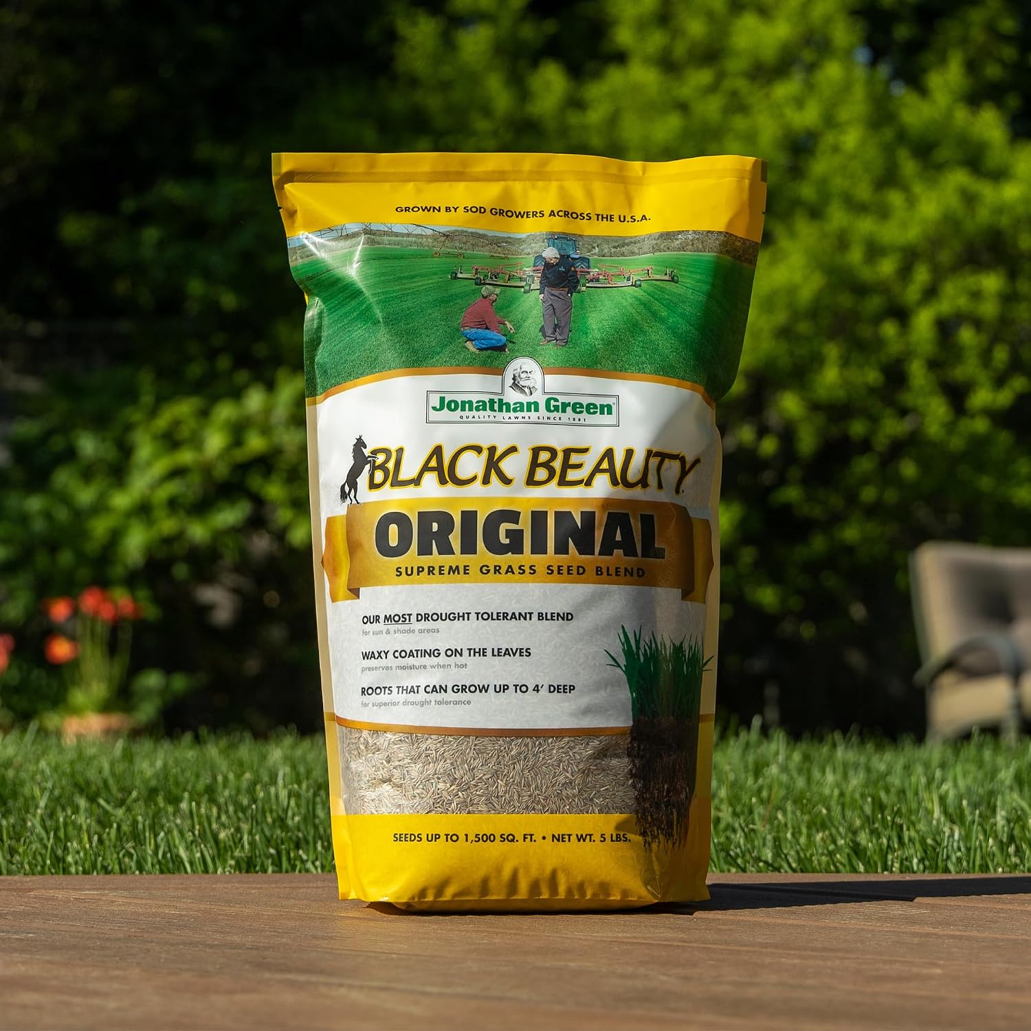 Jonathan Green Black Beauty Tall Fescue Grass Seed Blend - 50 lb