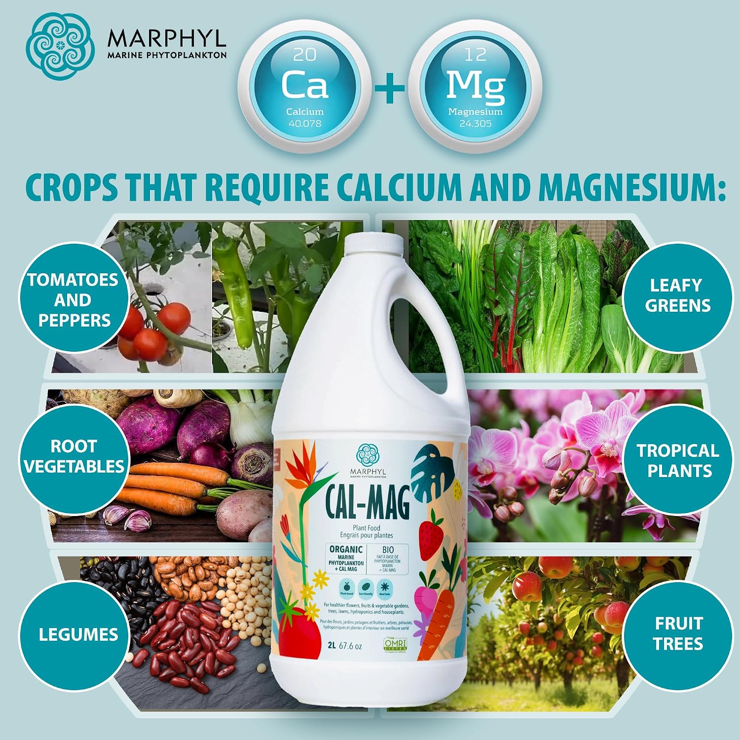 MARPHYL Organic Cal-Mag Liquid Fertilizer – Calcium & Magnesium Supplement to Correct Plant Deficiencies, Supports Strong Growth for Garden Flowers, Vegetables, Succulents & Hydroponics