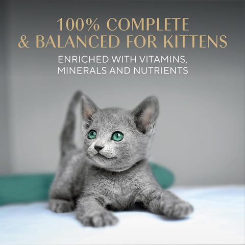 Sheba Perfect Portions Kitten Pate Wet Cat Food, Multipack, 2.6 oz, 24 ct