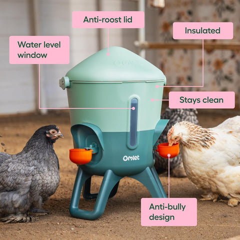 Omlet Insulated Chicken Waterer, 1.5 Gallon | Stay-Clean Automatic Water Dispenser for Chickens | BPA-Free | Anti-Roost Domed Lid | Includes 3 Cups & Nipples | Sage Green
