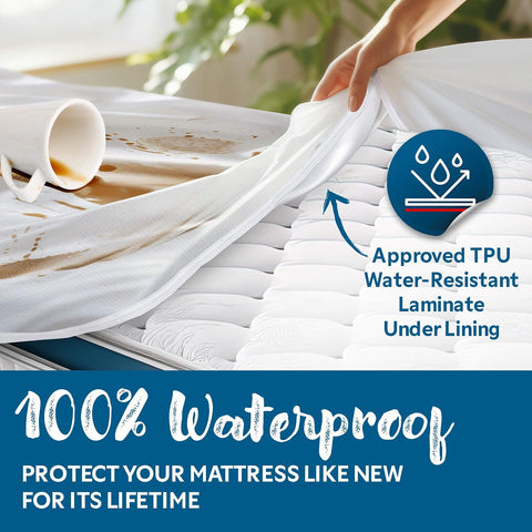 Guardmax Full Mattress Protector Zippered, Bed Bug Mattress Cover
