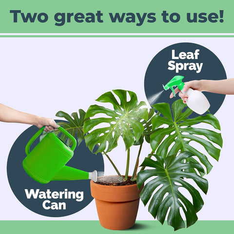 Monstera Plant Food - Liquid Fertilizer for Bigger, Healthier Leaves, 8 oz